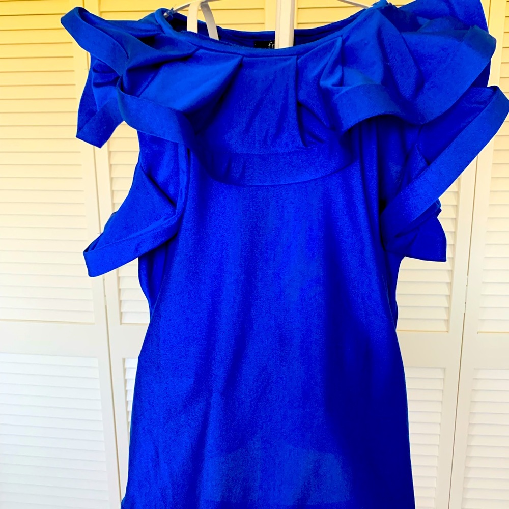 Beautiful royal blue top with ruffles around the entire top and on the sleeves